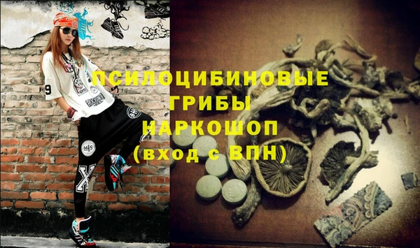 эйфоретик Балахна